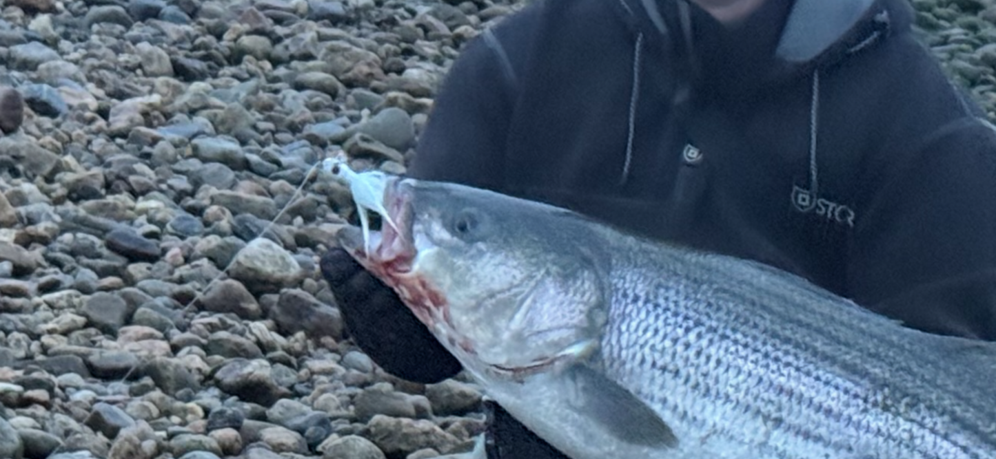 Pro Series Bullet Head Bucktail