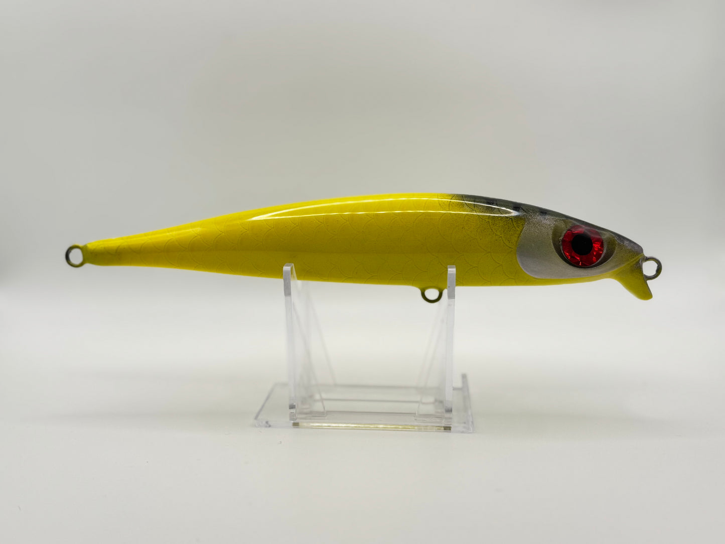 Bigeye v3