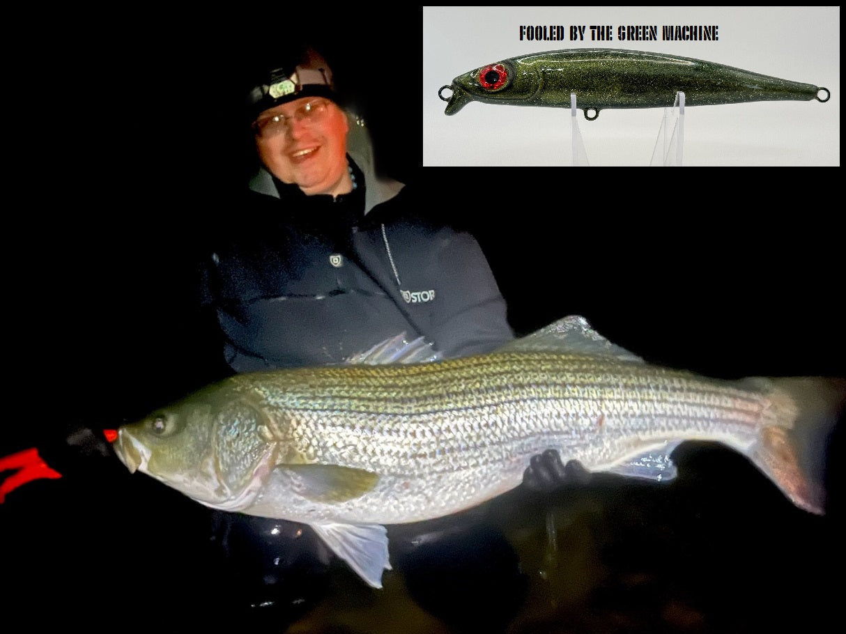 Bigeye v3