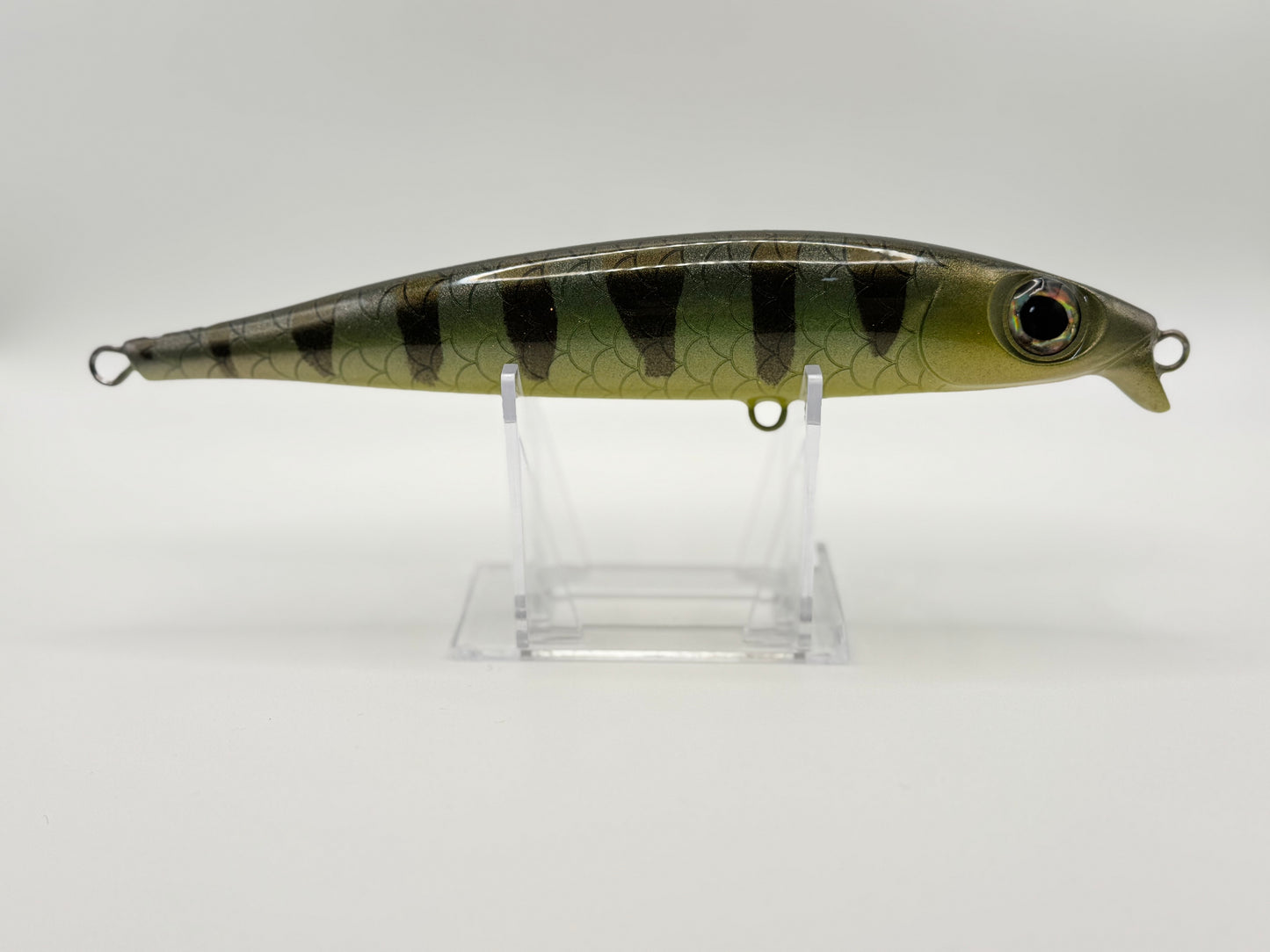Bigeye v3