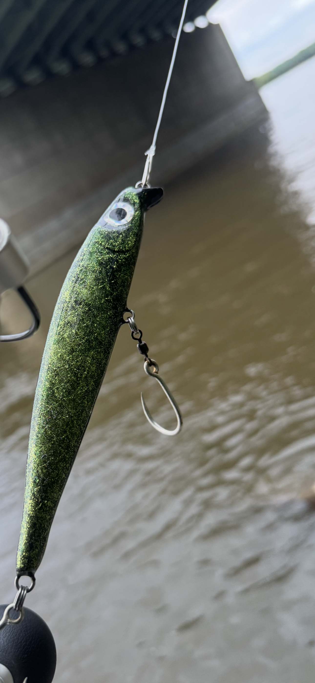 Bigeye v3