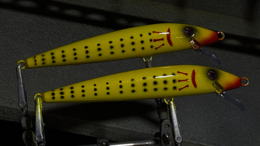 BLACK FRIDAY CUSTOM PLUGS