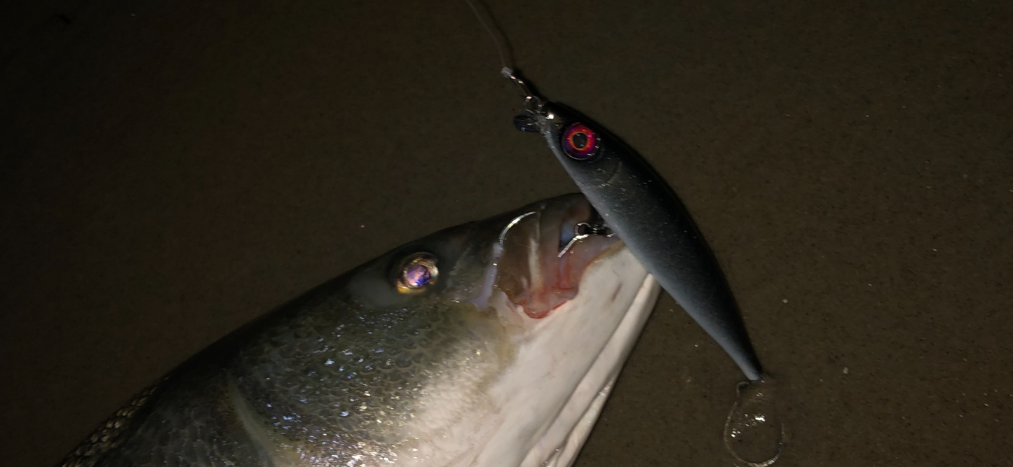 Bigeye v3