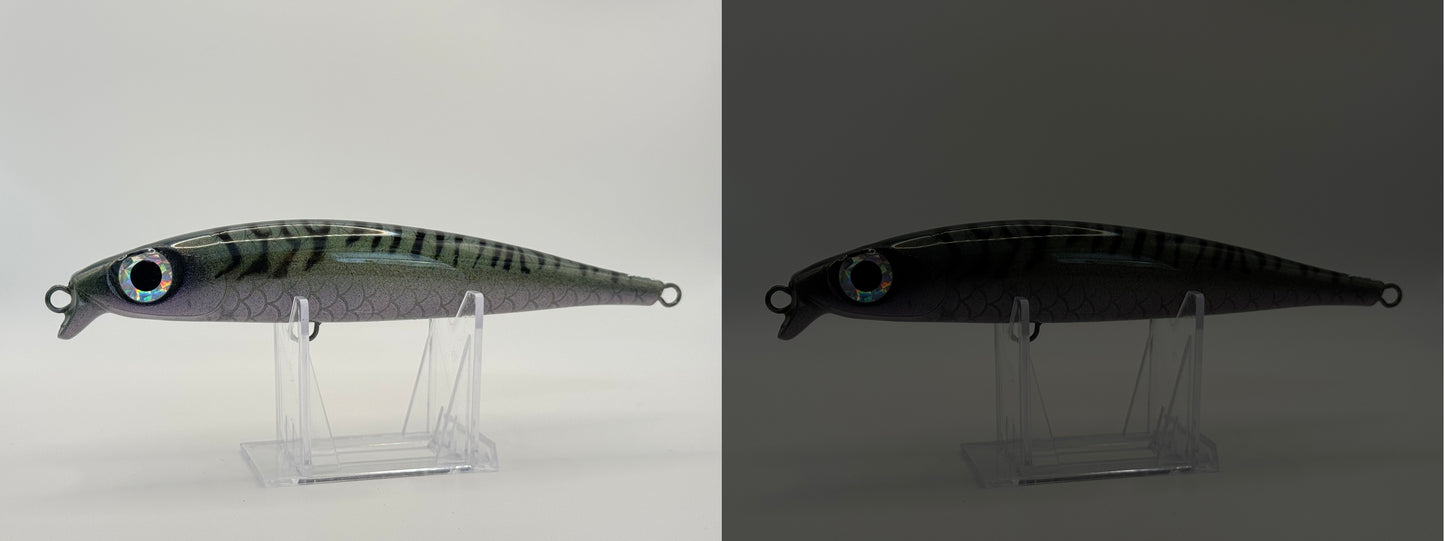 Bigeye v3
