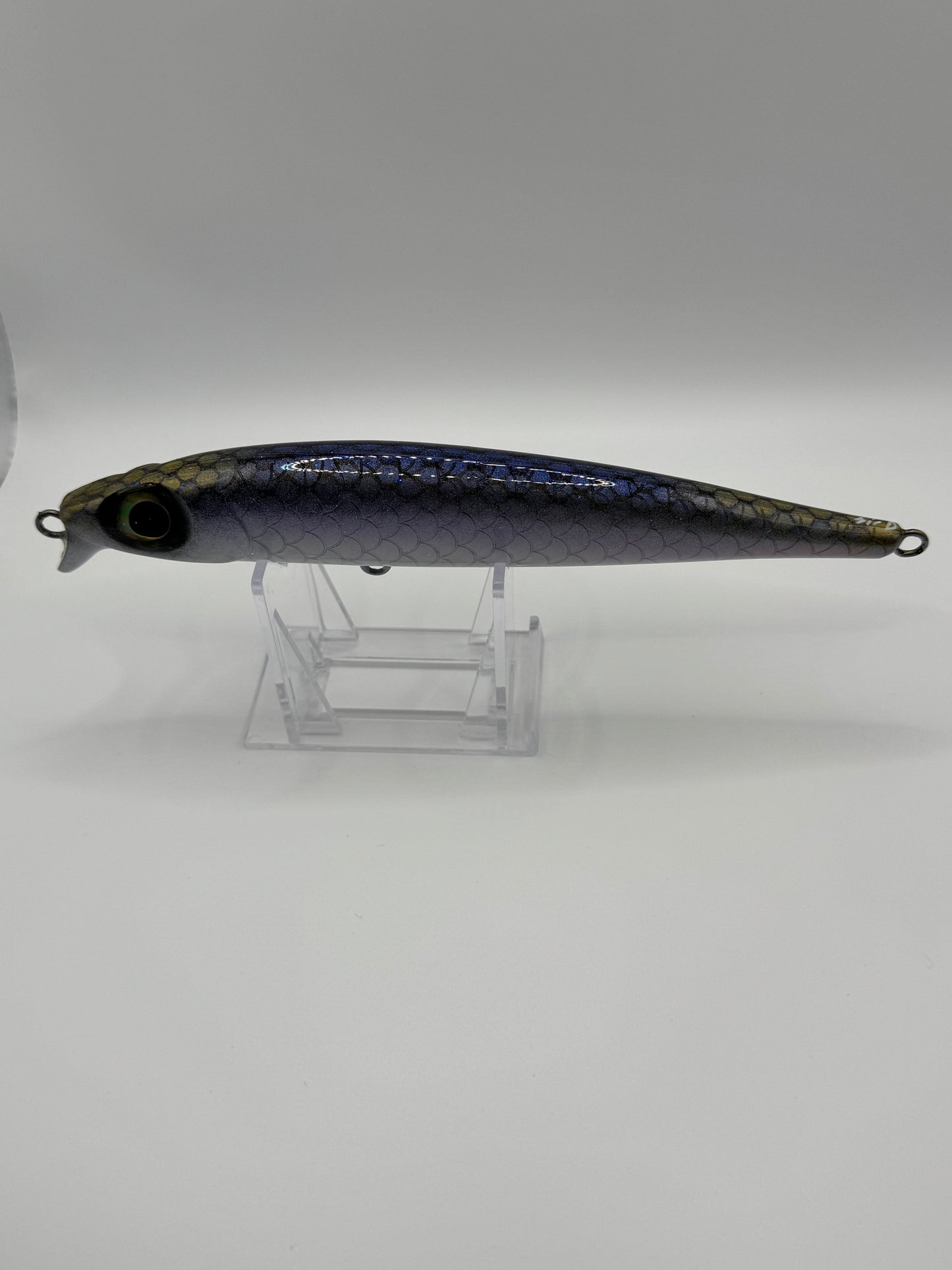 Bigeye v3