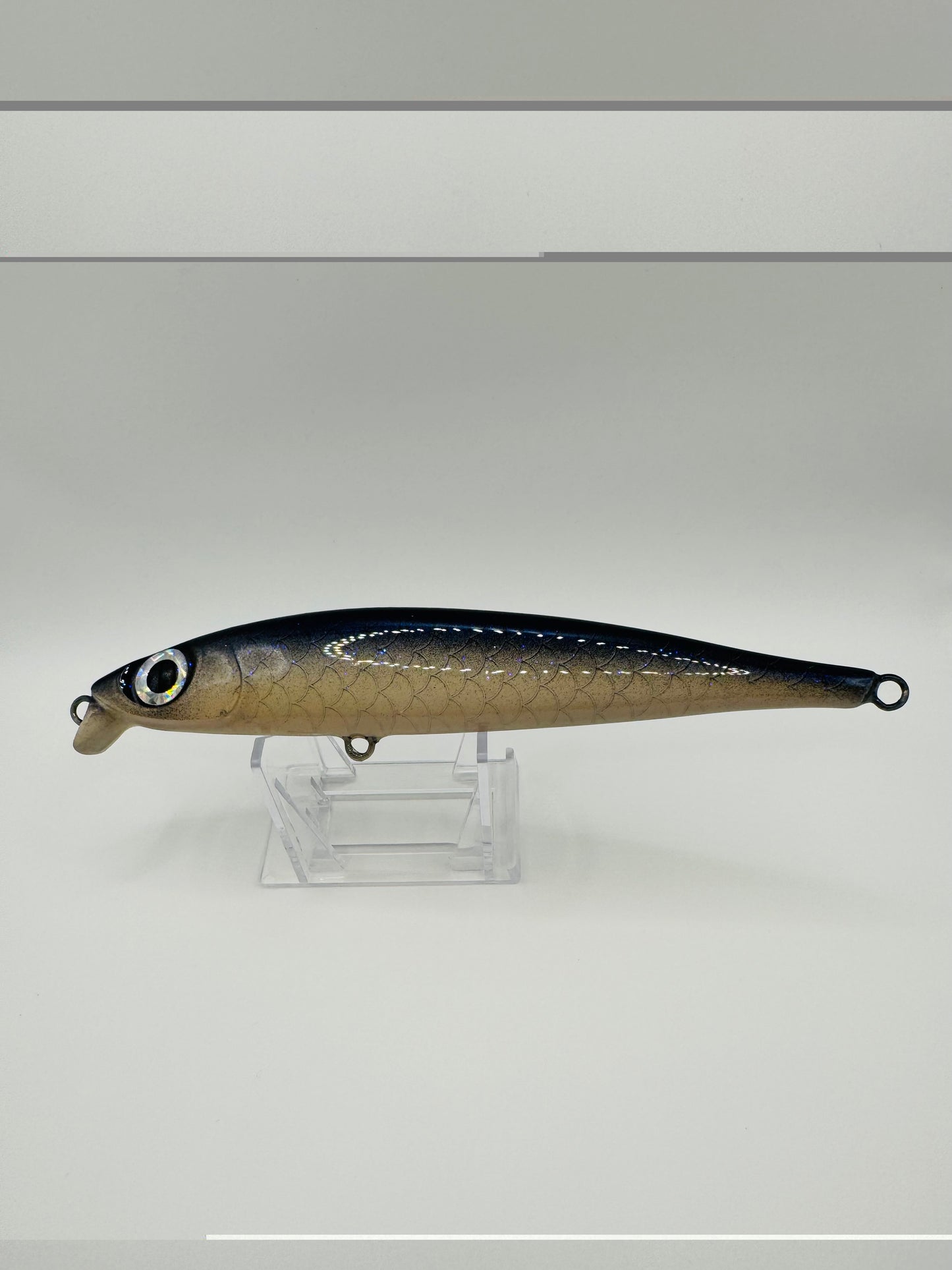 Bigeye v3