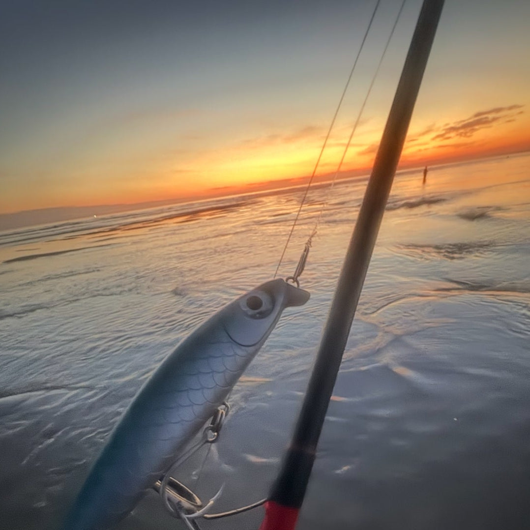 Bigeye v3